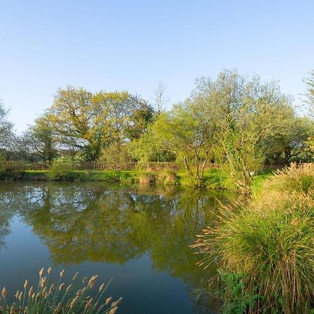 Our Goldfinch 1- Sleeps 2 Persons- Private Hot Tub-Pet Friendly-Tranquil Holiday Away From It All Yet Not Far From St Austell- The Holiday Home Has One Bedroom, Living And Dining Area, Equipped Kitchen-Decking-Outdoor Furniture-Fishing Lakes And More Grampound Экстерьер фото